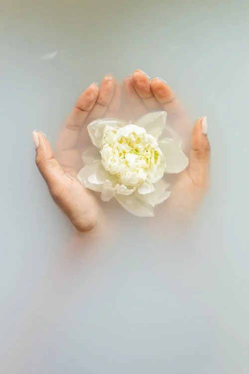 Image of Hands in water holding flower | Shilo Satran Therapy | Online Therapy CA